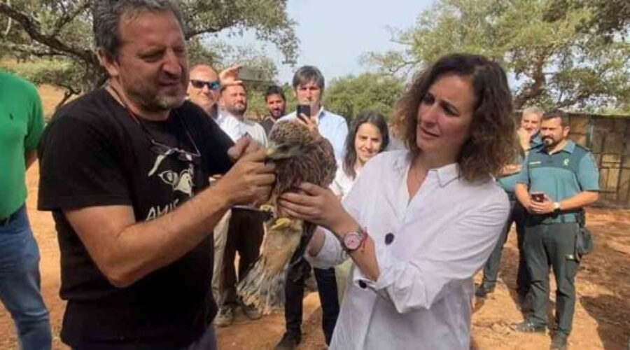 Liberados 15 milanos reales en Valencia del Mombuey para reforzar su permanencia en la región